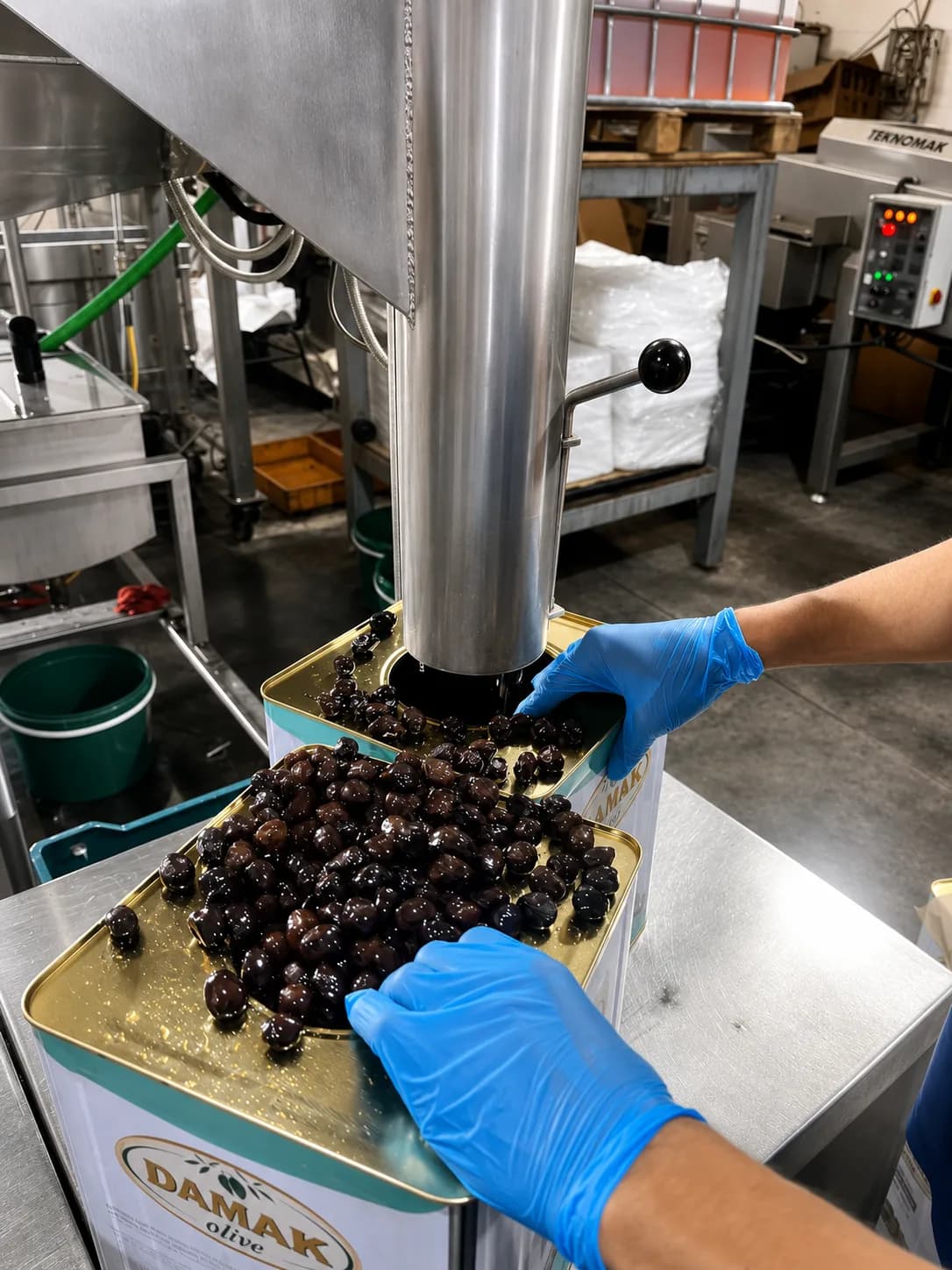 Black olives being weighed and filled on the packing line