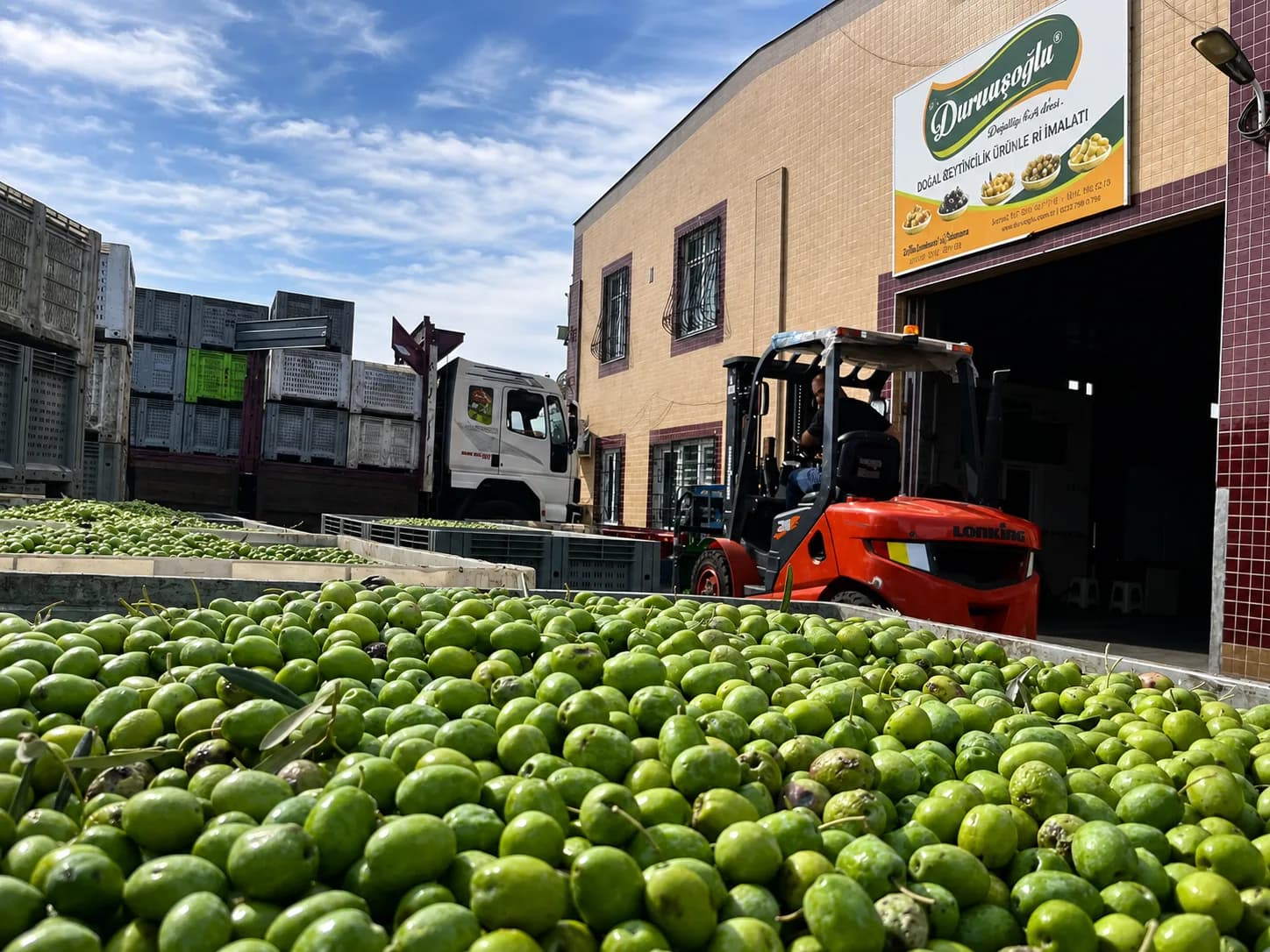 Olive intake area in front of the Durmuşoğlu production plant