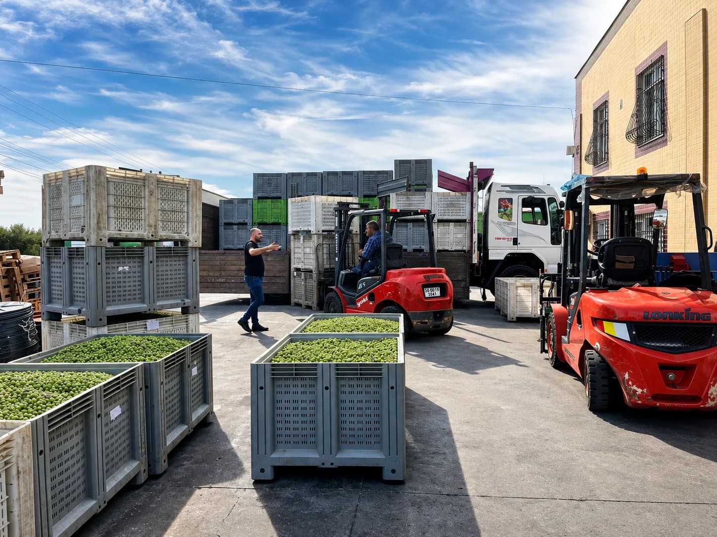 Olive crates being unloaded in the plant yard during harvest